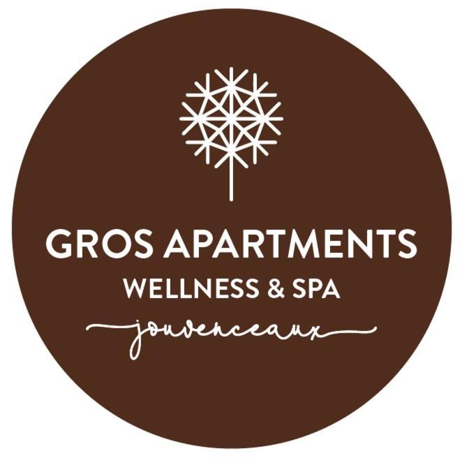 Appartamenti & Wellness Piero Gros Саузе-д'Ульс Экстерьер фото